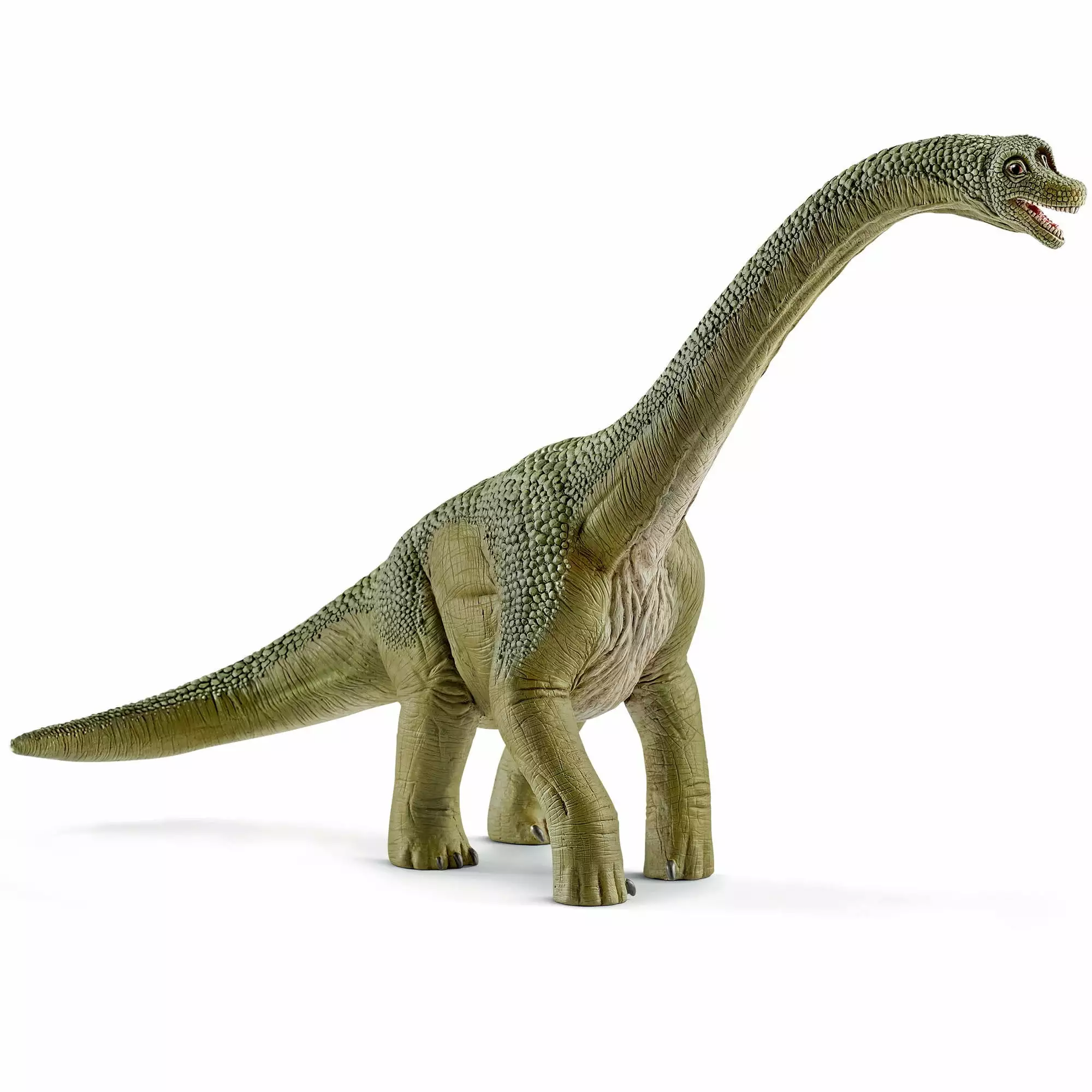 Schleich - Dinosaurs: Brachiosaurus Toy Figurine. Educational & Realistic Playset. 1 Pc